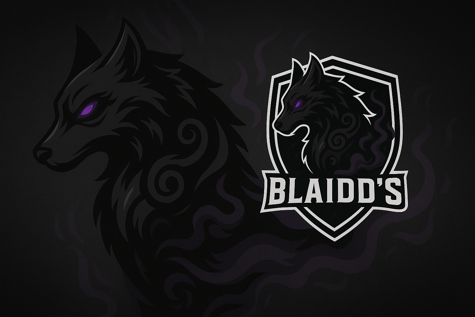 Banner Blaidd's eSports